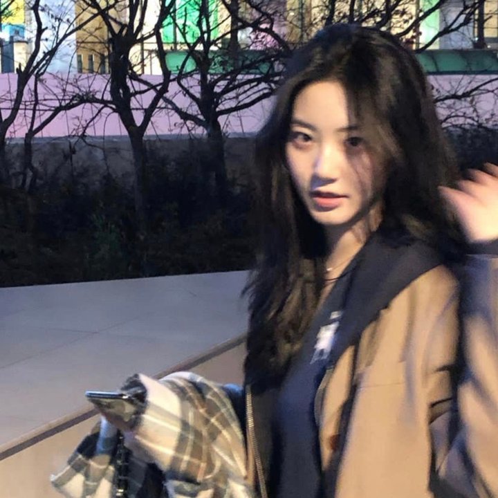 借脸
